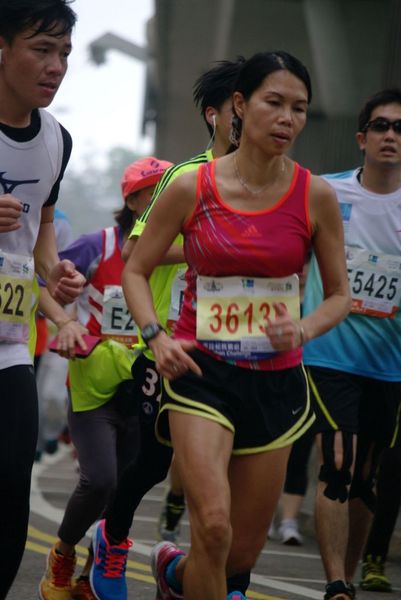 CHOI9518