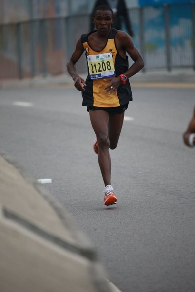 CY1X8003