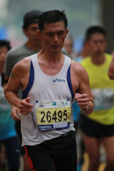 CY1X8242