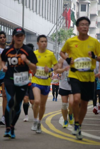 CHOI8000