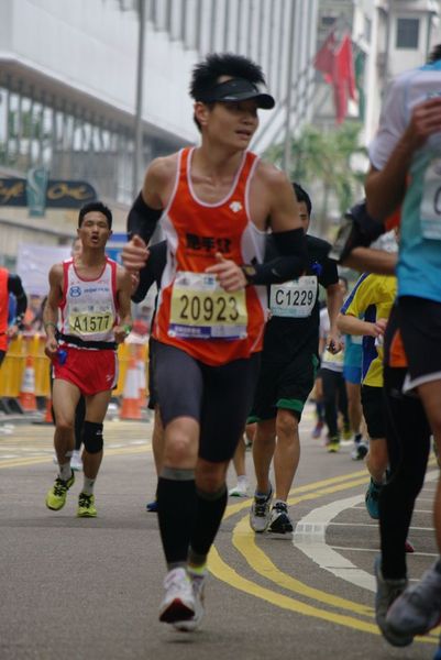 CHOI8002
