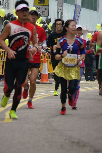 CHOI8233