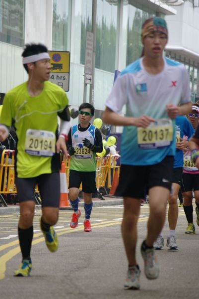 CHOI8440