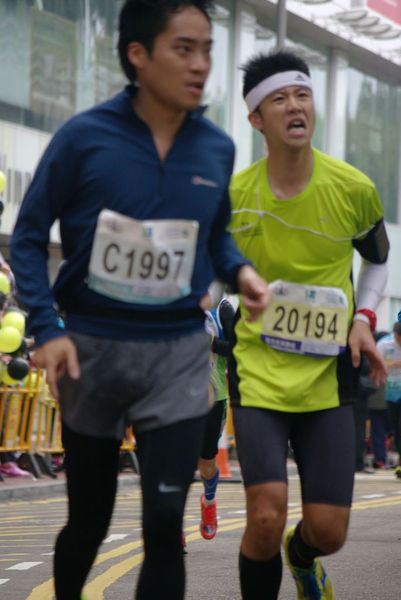CHOI8441