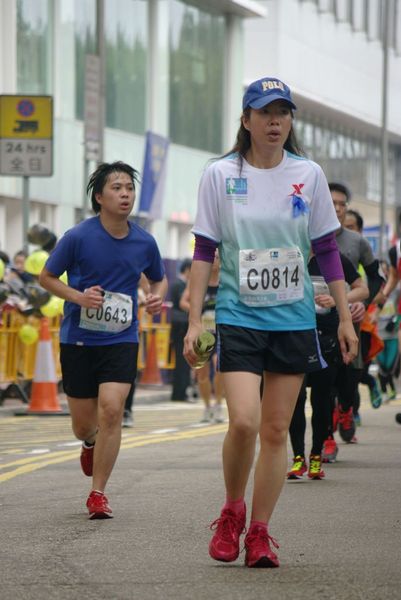 CHOI8445