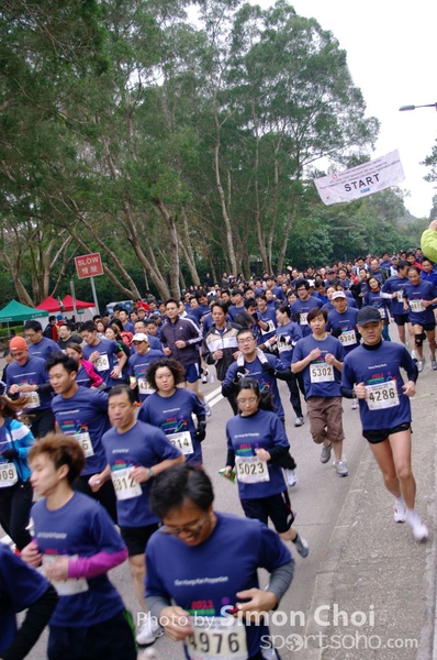 CHOI8620