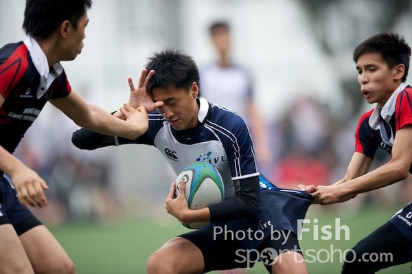 ILB_6683