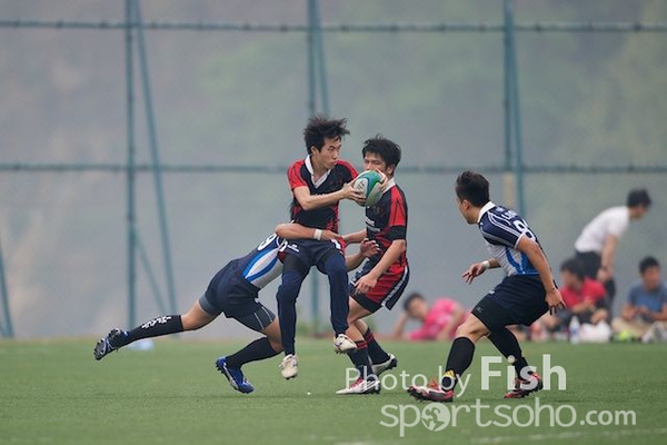 ILB_6687