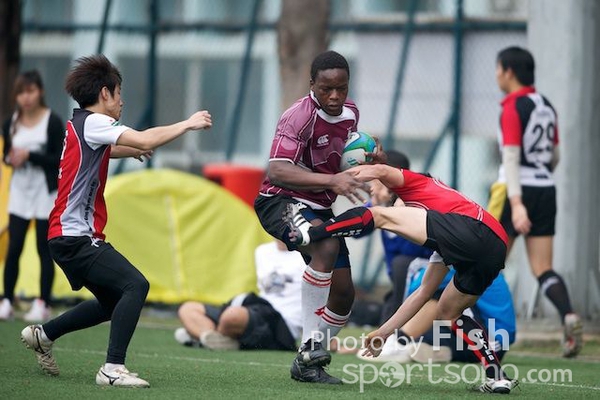 ILB_6777