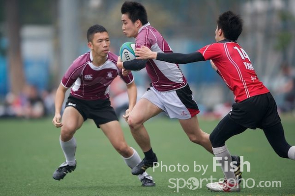ILB_6784