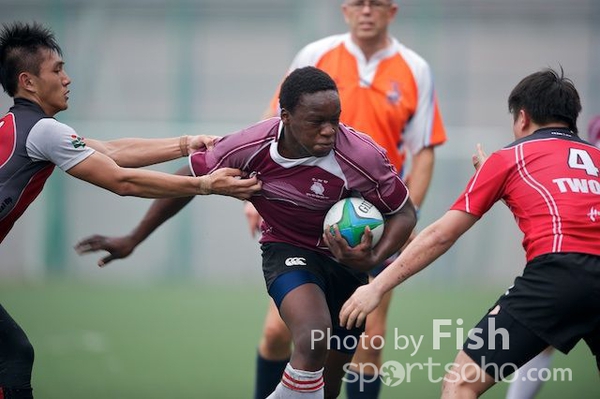 ILB_6808