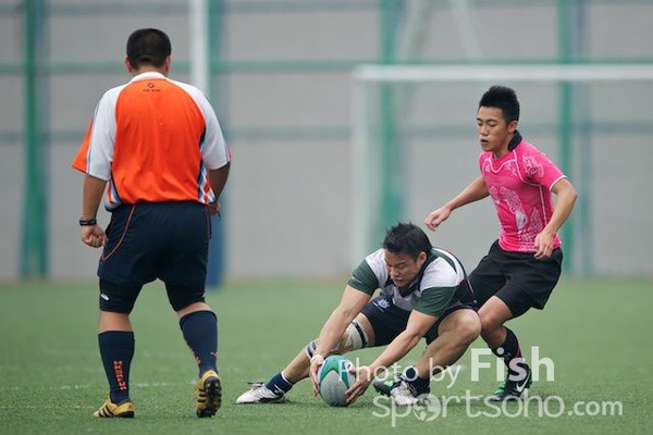 ILB_6855