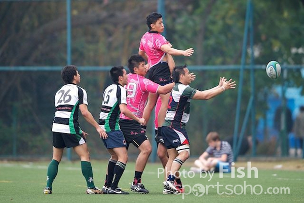 ILB_6857