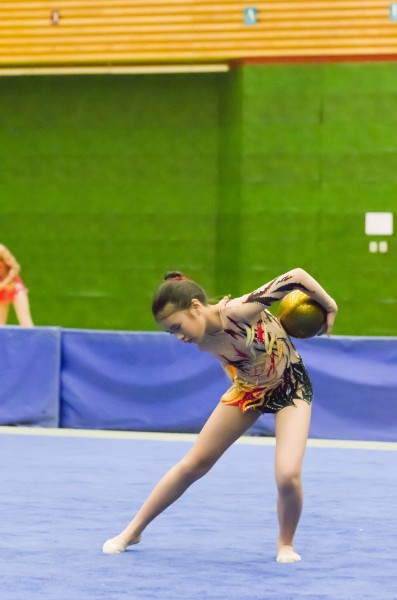 IMGP2642