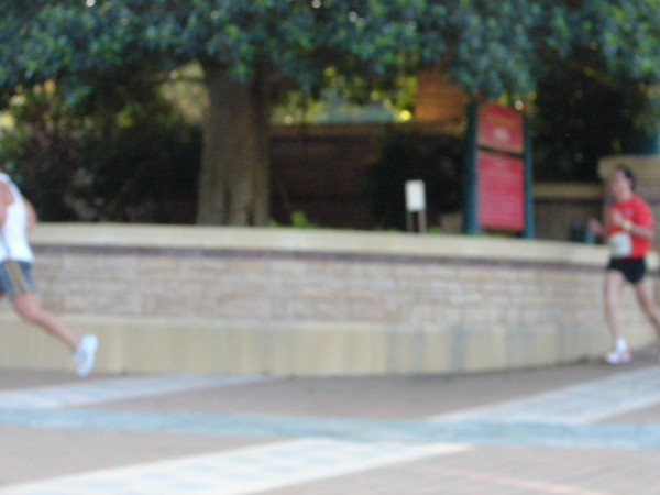 DSC01458