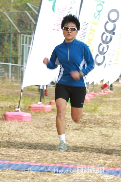 CY-431