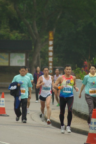 IMGP3352