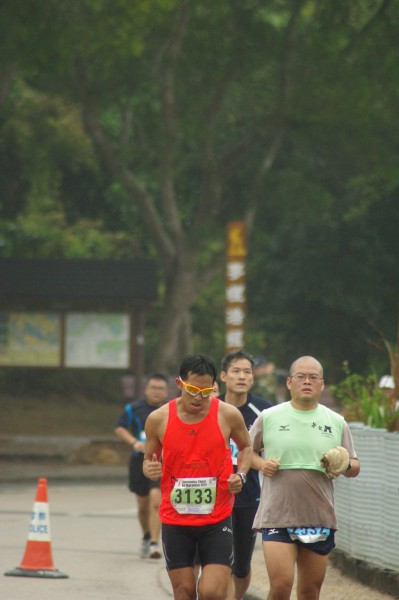 IMGP3491