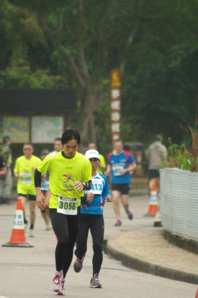 IMGP3503