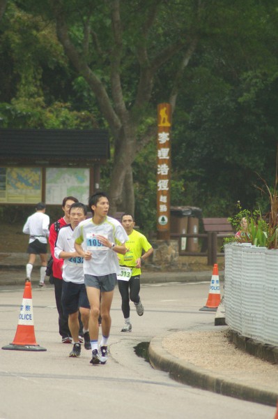 IMGP3508