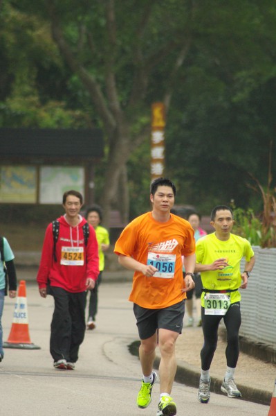 IMGP3509