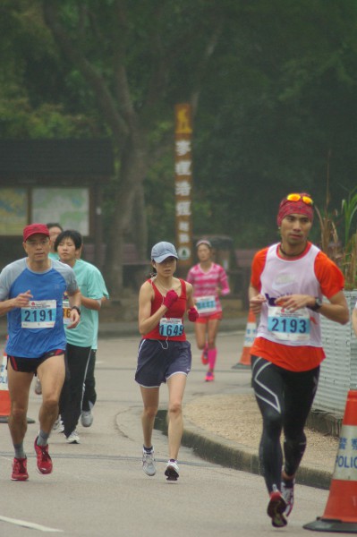 IMGP3139
