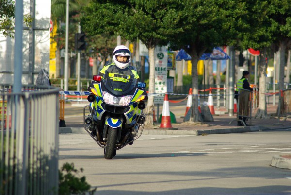 IMGP5908
