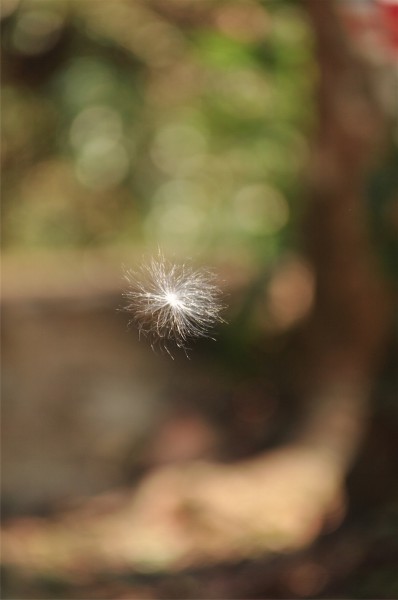 DSC_0359_3