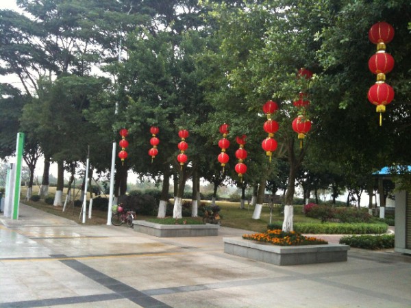南沙7