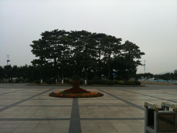 南沙8