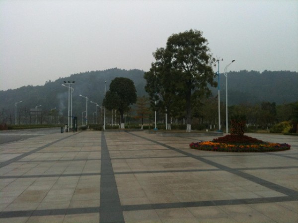 南沙9