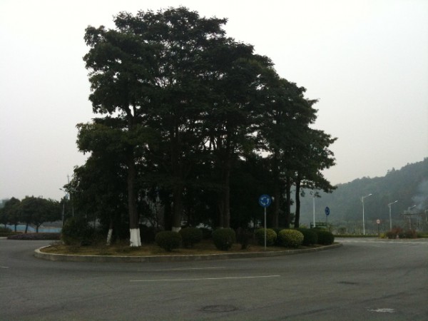 南沙11
