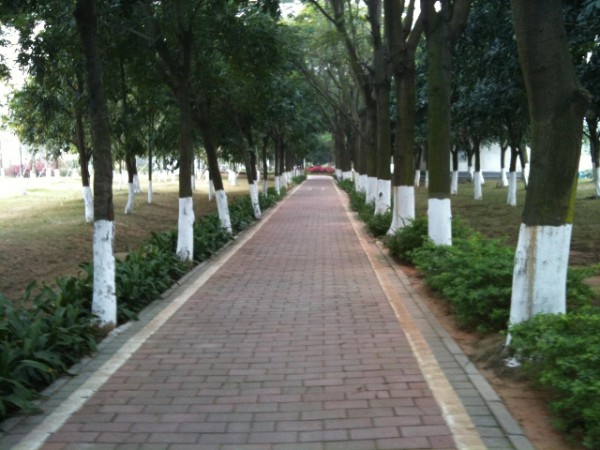 南沙14