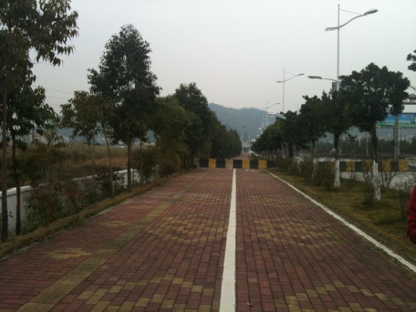 南沙22