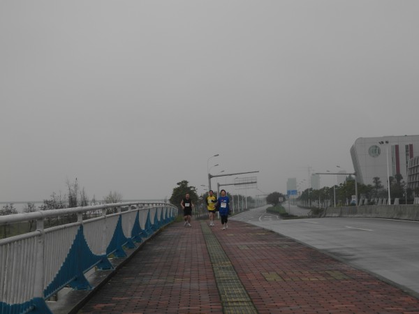 SAM_4973