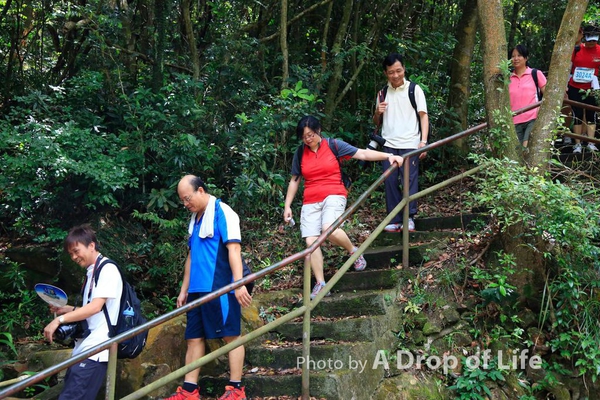 2012.05.13.12.52.07_Walk_0211