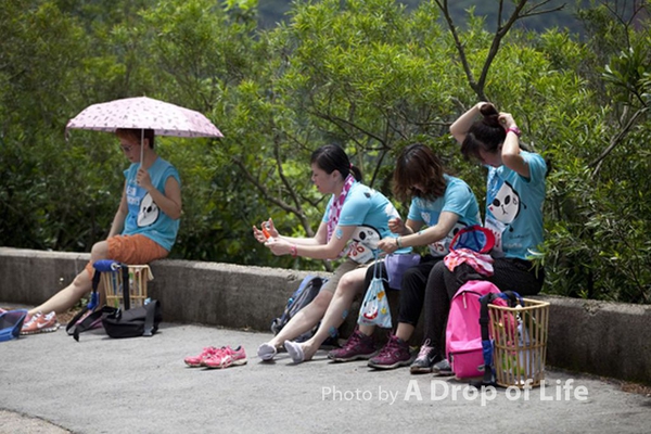 photo012