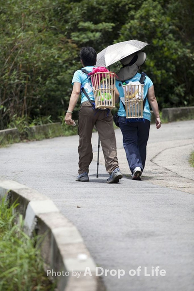 photo013