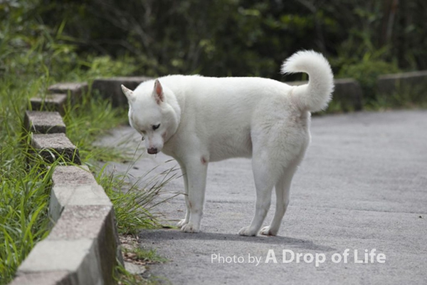 photo055