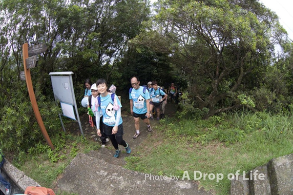 photo272