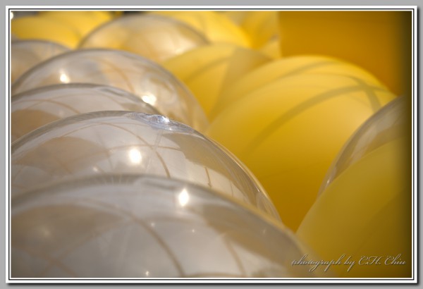 _MG_8680