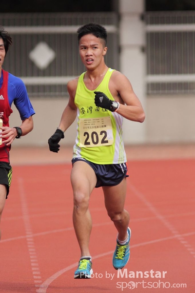 NY13_398Cm