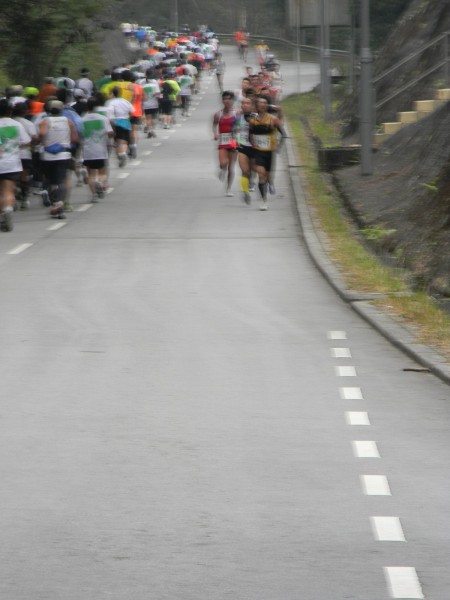 DSCN0741 (复制)