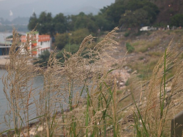 P1062776