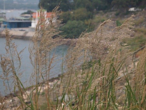 P1062777