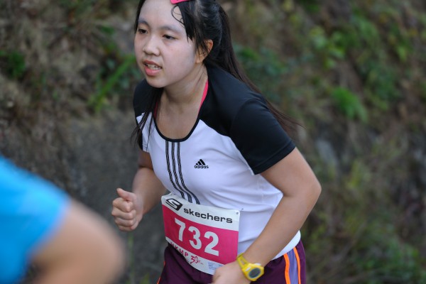 LSF_8050