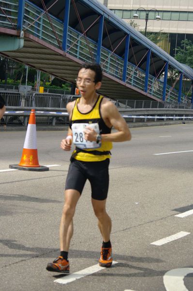 CHOI0294
