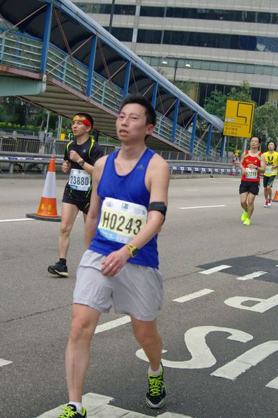 CHOI0377