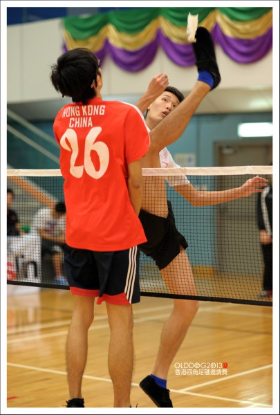 Shuttlecock (25)