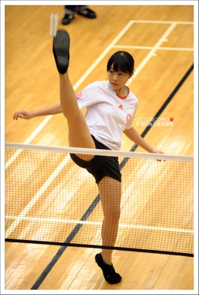 Shuttlecock (30)